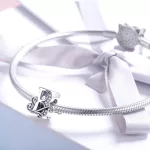B-Betu-diszes-ezust-charm