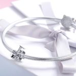 J-Betu-diszes-ezust-charm