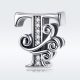 T-Betu-diszes-ezust-charm