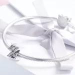Z-Betu-diszes-ezust-charm