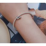 olelo-cica-ezust-charm