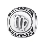 Szuz-Horoszkop-Ezust-gomb-charm