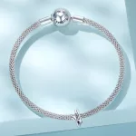 oleles-charm-ezust-spacer